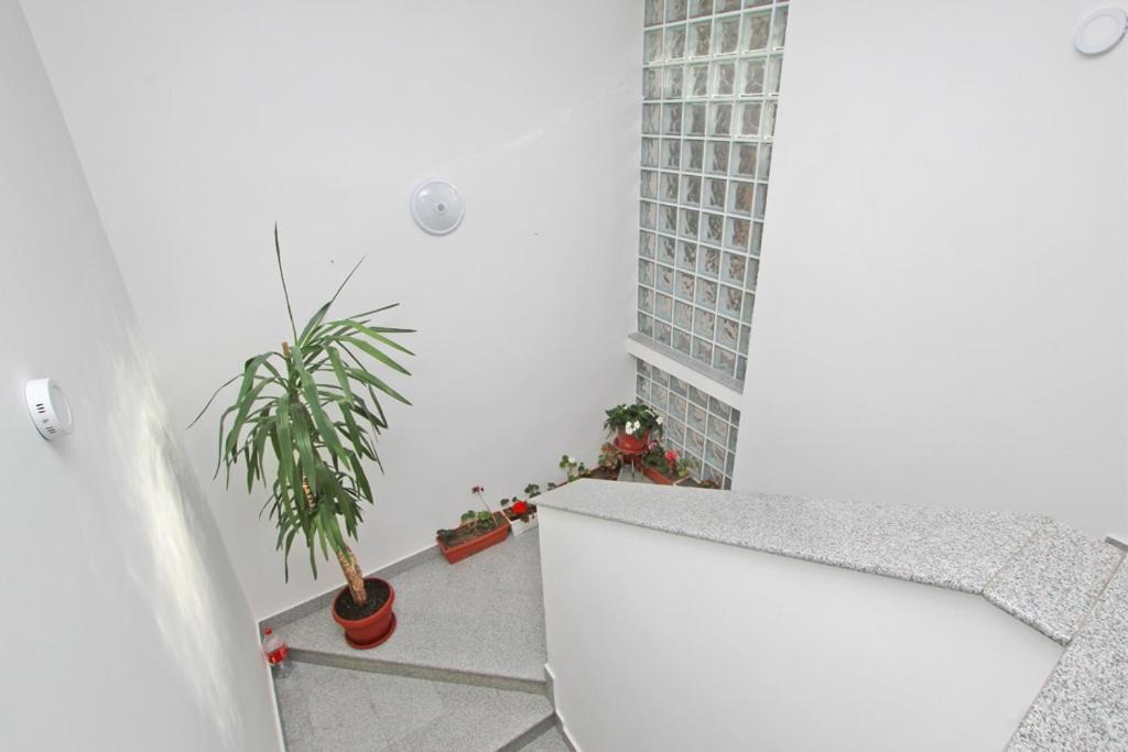 Imas Apartment Saraievo Exterior foto