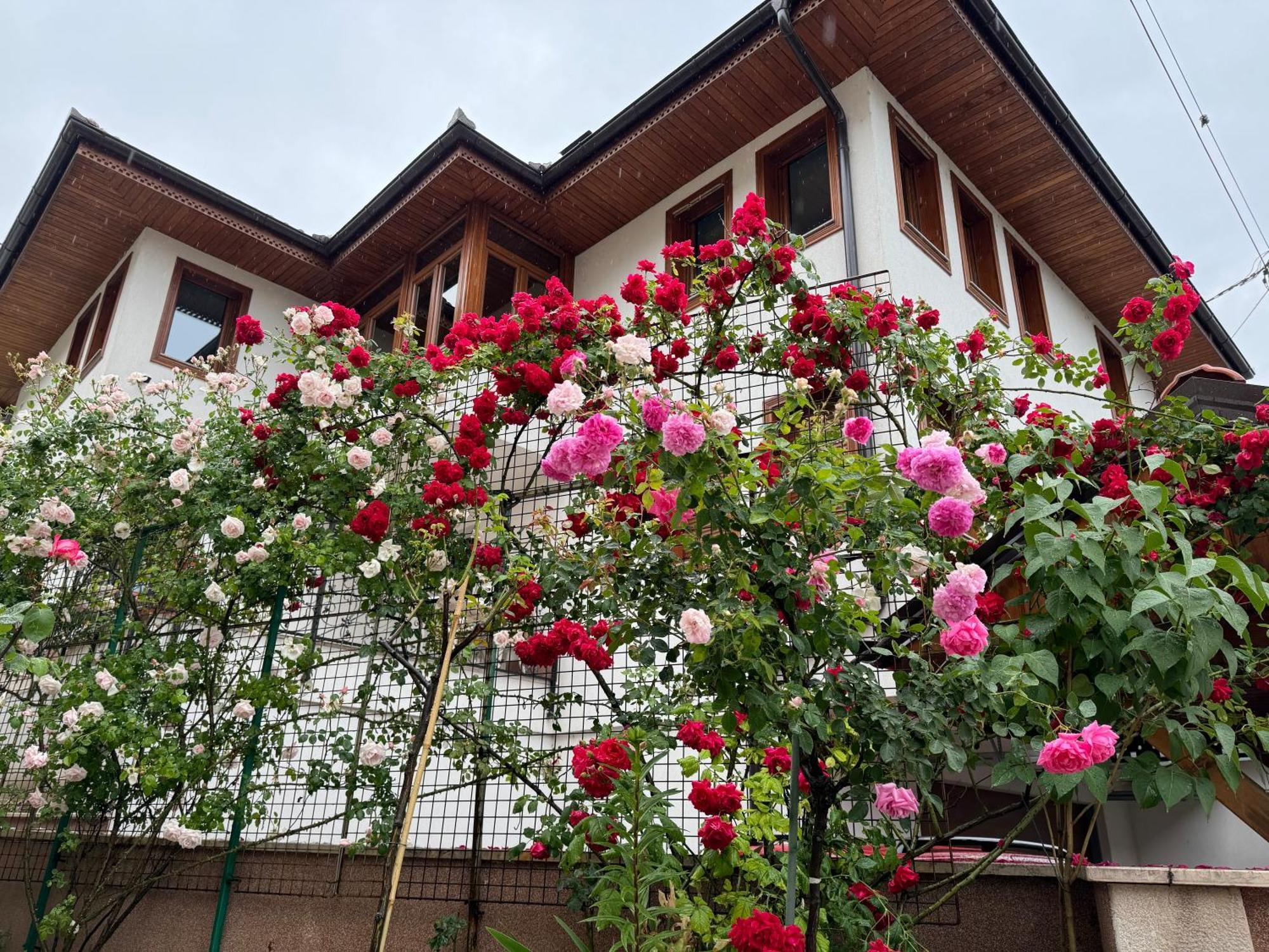 Imas Apartment Saraievo Exterior foto